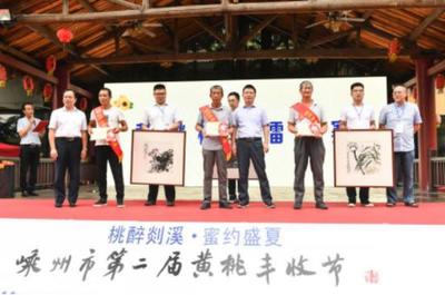 桃醉剡溪，蜜约盛夏 嵊州第二届黄桃丰收节暨文艺创作汇演启幕